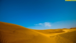 golden desert wallpaper