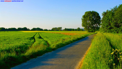 عکس طبیعت زیبا
