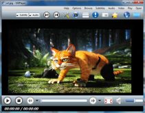 دانلود پلیر جدید SMPlayer v15.9.0 Stable + x64