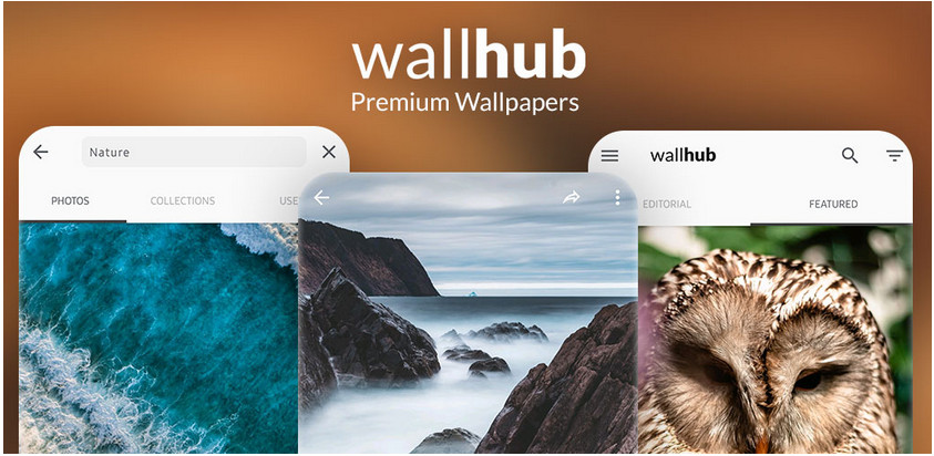 دانلود Wallhub v1.0.5 - گالری والپیپرهای زیبا و با کیفیت برای اندروید 1 Wallhub 1