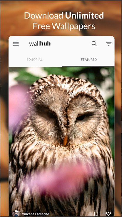 دانلود Wallhub v1.0.5 - گالری والپیپرهای زیبا و با کیفیت برای اندروید 3 Wallhub 3